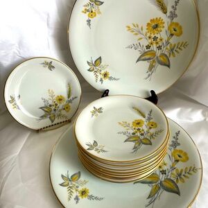 Beatrice By Edelstein Bavarian Set Of 9 Dessert Plates With 2 Larger 10" Plates